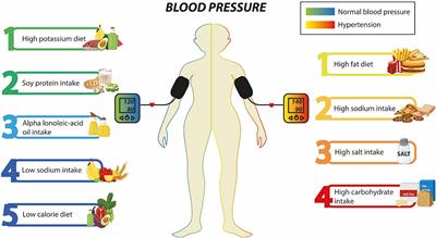 Genetic diet interactions of ACE: the increased hypertension predisposition in the Latin American population
